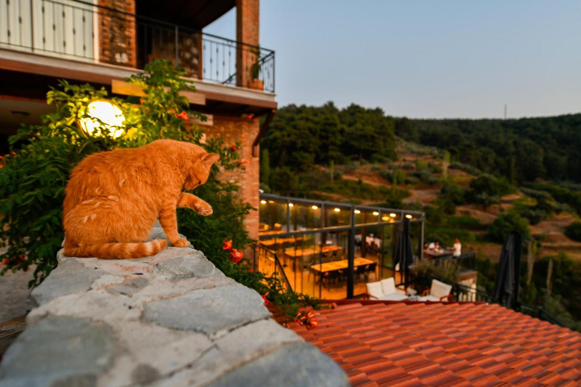 Отель Ephesus Retreat Измир Экстерьер фото