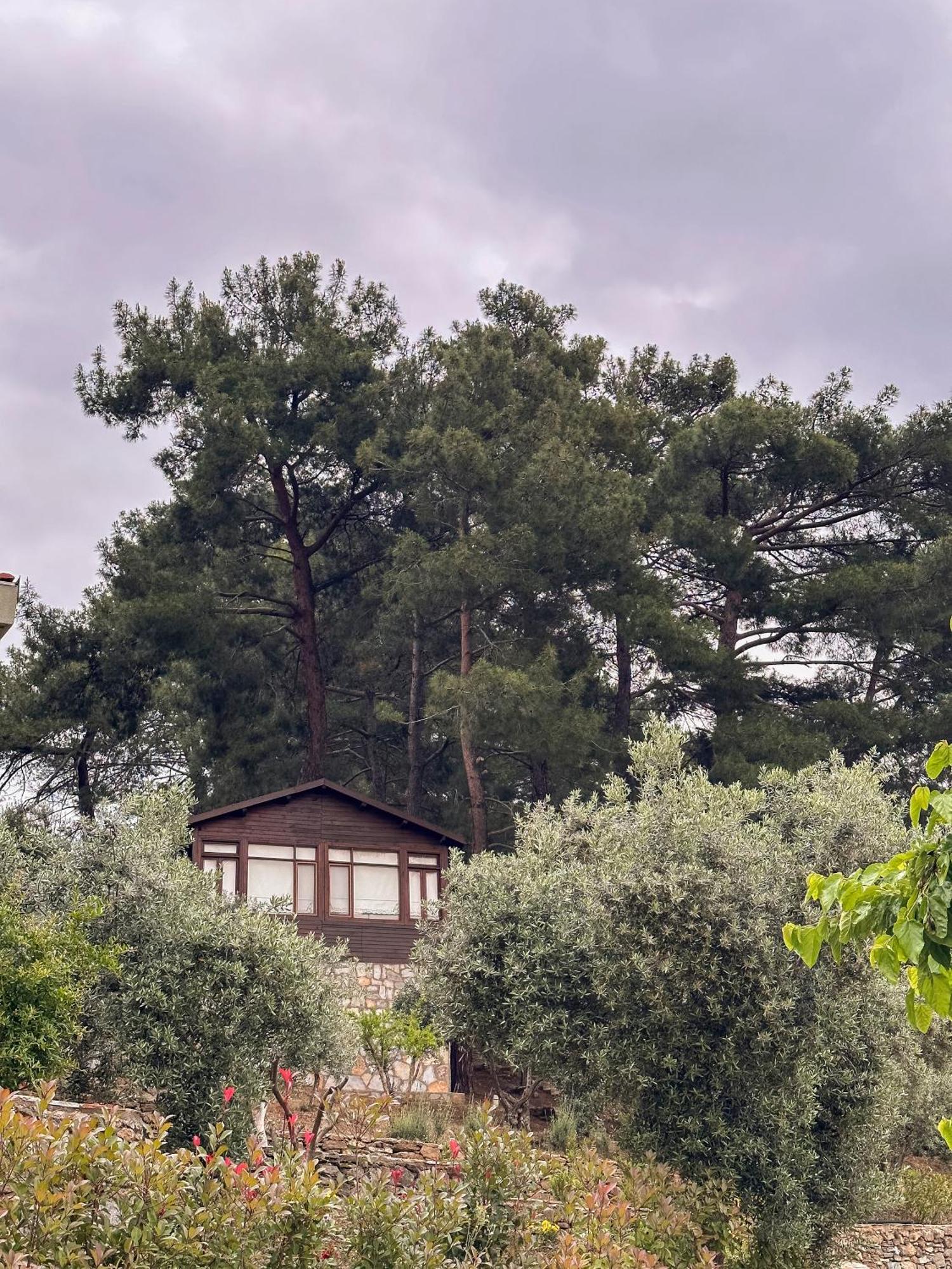 Отель Ephesus Retreat Измир Экстерьер фото